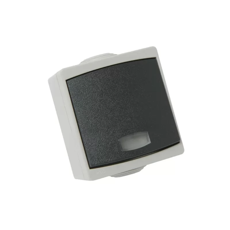 Bouton poussoir étanche avec voyant - Pose en saillie - IP65 - Courant 10A - Tension 250V -  Gris