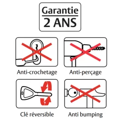 Cylindre simple européen Vachette Velix nickelé s'entrouvrant avec 5 clés - 30 x 10 mm