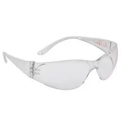 Lunette POKELUX polycarbonate incolore anti-buée