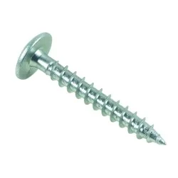 Vis penture bois tête bombée Torx acier Zingué blanc