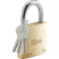 CADENAS CITY EN 45 SUR N°