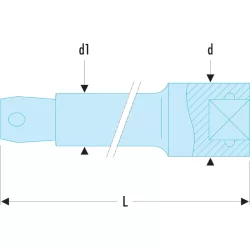 Rallonge 1/4 standard