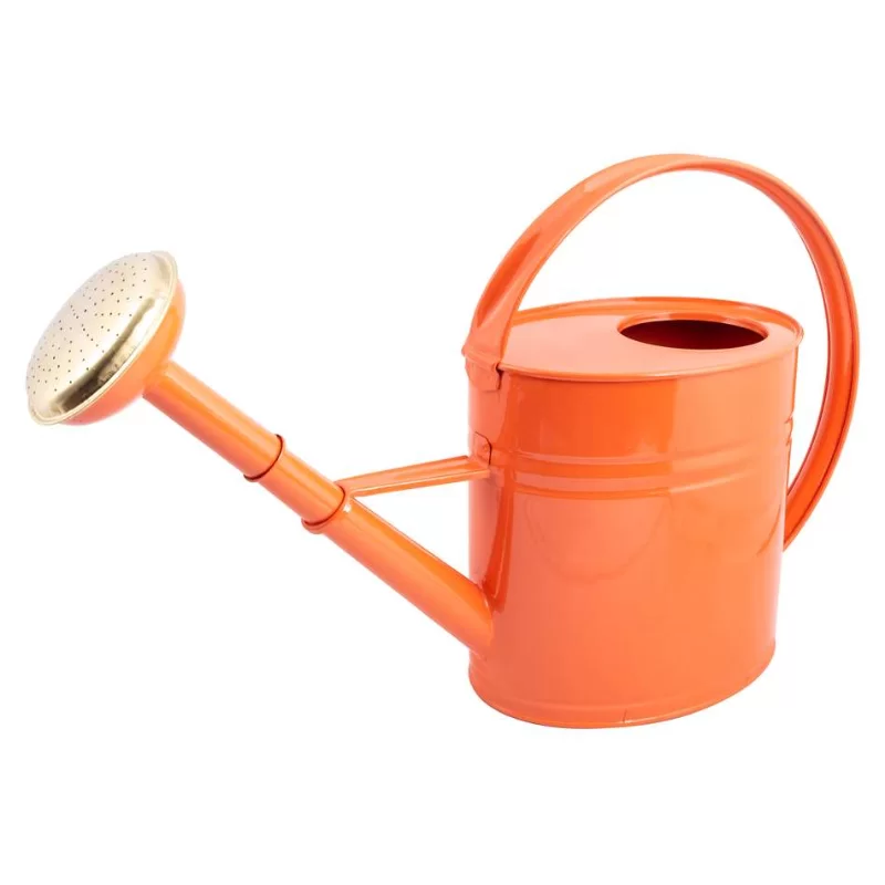 Arrosoir de jardin forme ovale en acier galvanisé Guillouard 4L