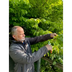 Sécateur professionnel à lames croisantes et poignée bi-matière Bahco 23 cm