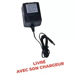 Peson CW à batterie autonome rechargeable