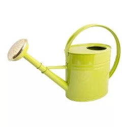 Arrosoir de jardin forme ovale en acier galvanisé Guillouard 4L