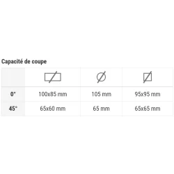 Scie à ruban portative NG 105  XL Femi 950W