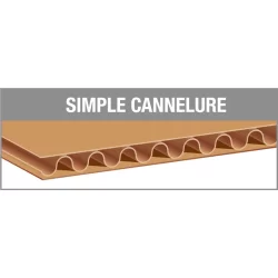 Carton d'emballage simple cannelure Cenpac