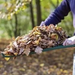 Balai à gazon XL 27 dents manche bois spécial feuilles