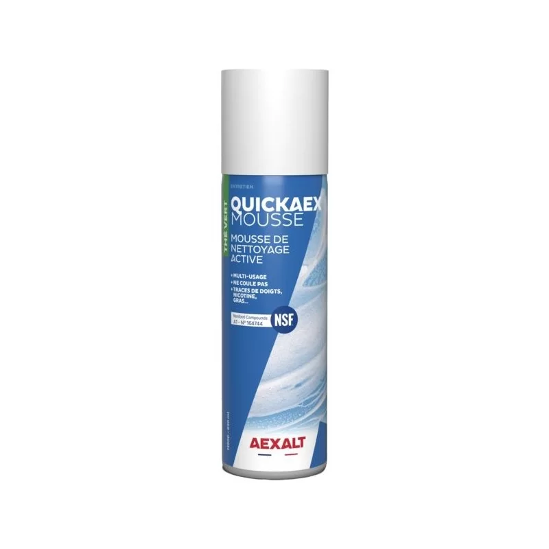 Mousse de nettoyage active multi-surface en aérosol MAG 900 Aexalt contenance de 650 ml