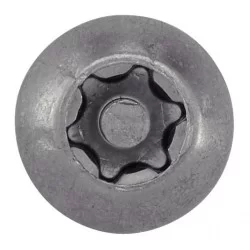 VIS METAUX TETE RONDE BOMBE  EMPREINTE TORX INVIOLABLE INOX A2 06X016 - boite de 100